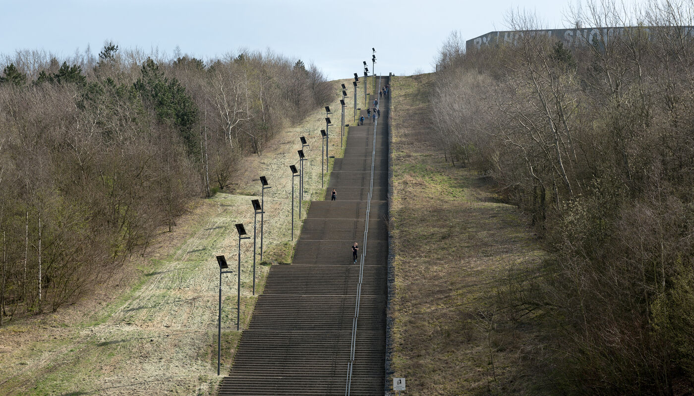 Photinus GmbH & Co KG