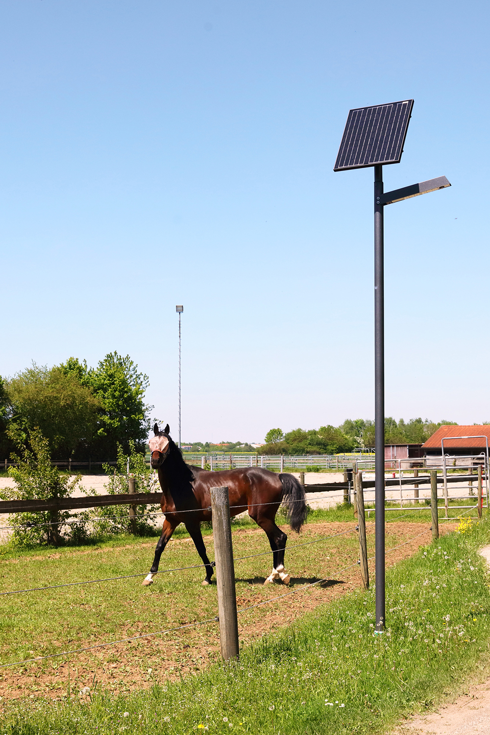 Solar horse stable lights new arrivals